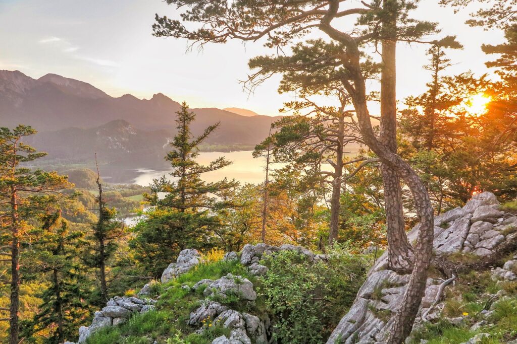 trees, nature, mountains, landscape, mountain landscape, view, hiking, landscape, view, hiking, hiking, hiking, hiking, hiking